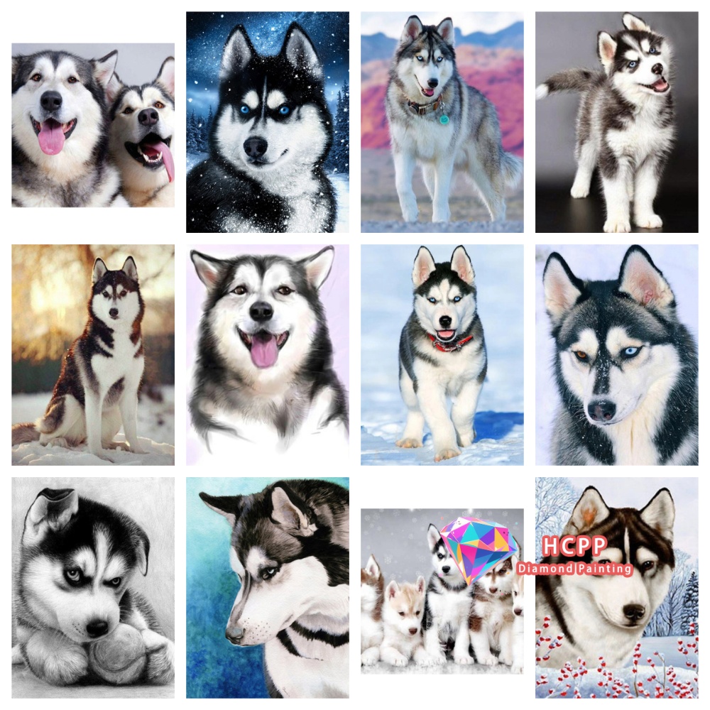 Embroidery Icon - Kit Lukisan Berlian Gambar Hewan Husky