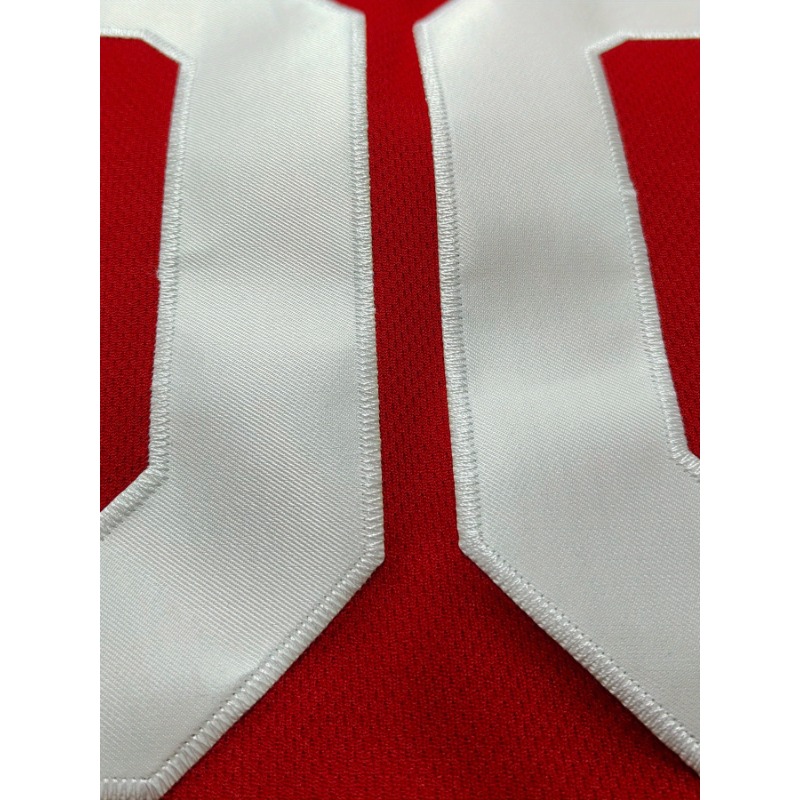 Jersey Basket Nama dan Nomor y - Embroidery Name ulasan dan harga